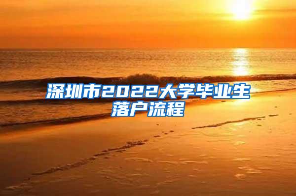 深圳市2022大学毕业生落户流程