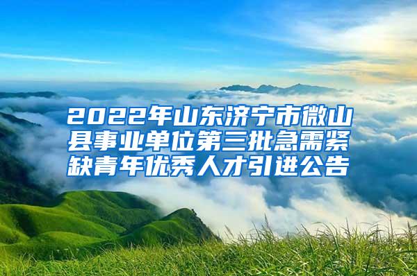 2022年山东济宁市微山县事业单位第三批急需紧缺青年优秀人才引进公告