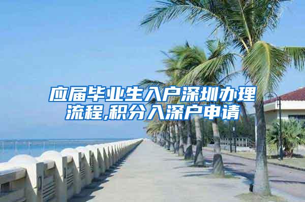 应届毕业生入户深圳办理流程,积分入深户申请