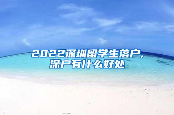 2022深圳留学生落户,深户有什么好处