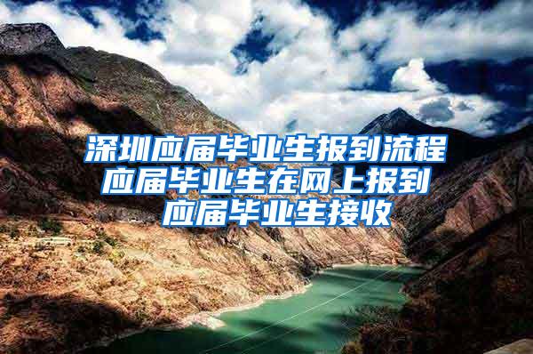 深圳应届毕业生报到流程 应届毕业生在网上报到  应届毕业生接收