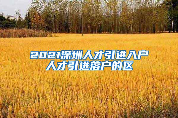 2021深圳人才引进入户人才引进落户的区