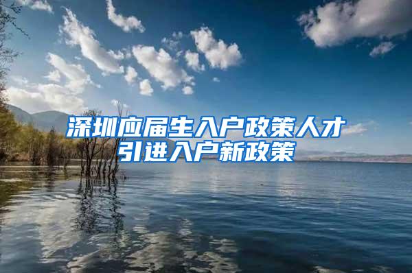 深圳应届生入户政策人才引进入户新政策