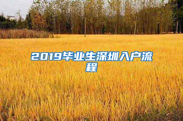 2019毕业生深圳入户流程