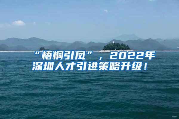 “梧桐引凤”，2022年深圳人才引进策略升级！