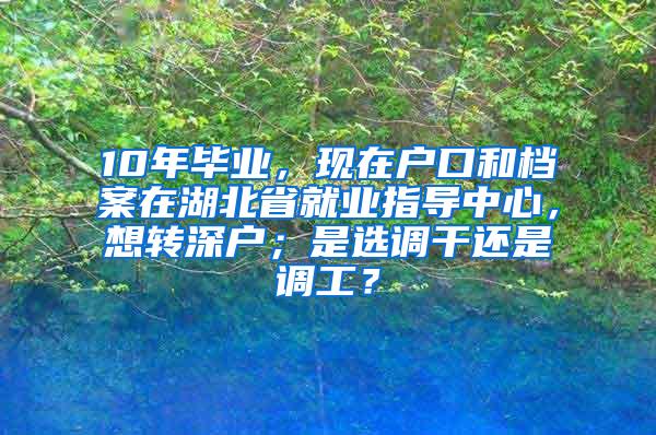 10年毕业，现在户口和档案在湖北省就业指导中心，想转深户；是选调干还是调工？