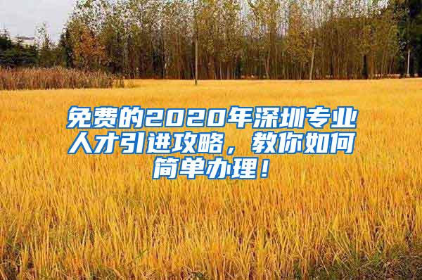 免费的2020年深圳专业人才引进攻略，教你如何简单办理！