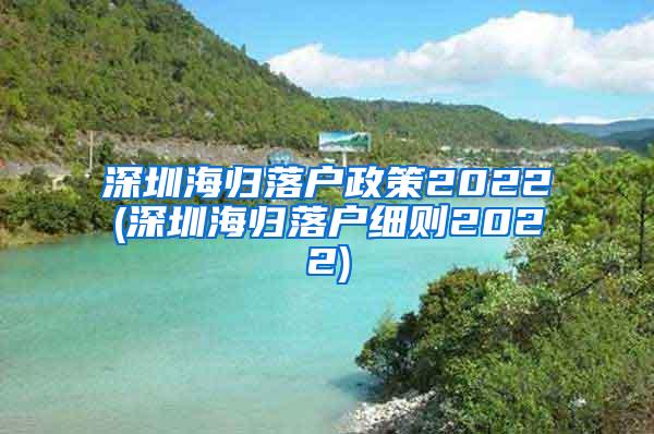 深圳海归落户政策2022(深圳海归落户细则2022)