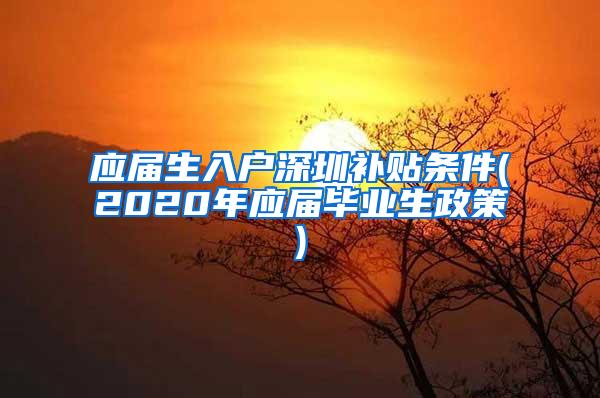 应届生入户深圳补贴条件(2020年应届毕业生政策)