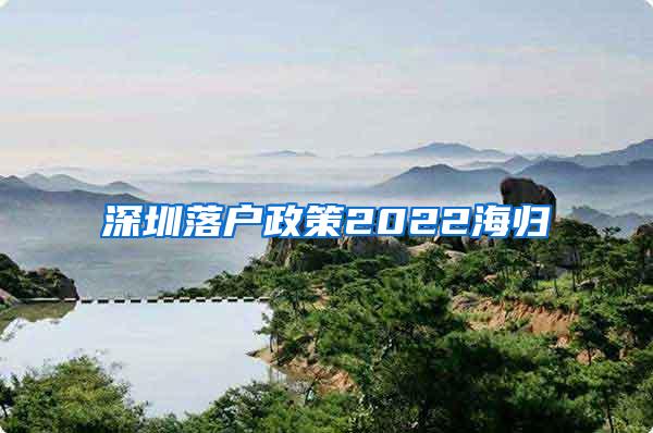 深圳落户政策2022海归