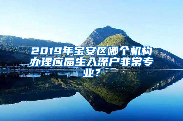 2019年宝安区哪个机构办理应届生入深户非常专业？