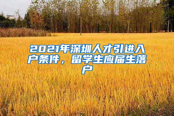 2021年深圳人才引进入户条件，留学生应届生落户