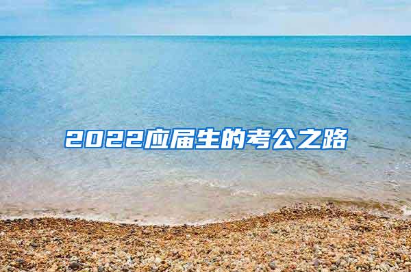 2022应届生的考公之路