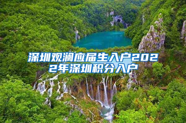 深圳观澜应届生入户2022年深圳积分入户