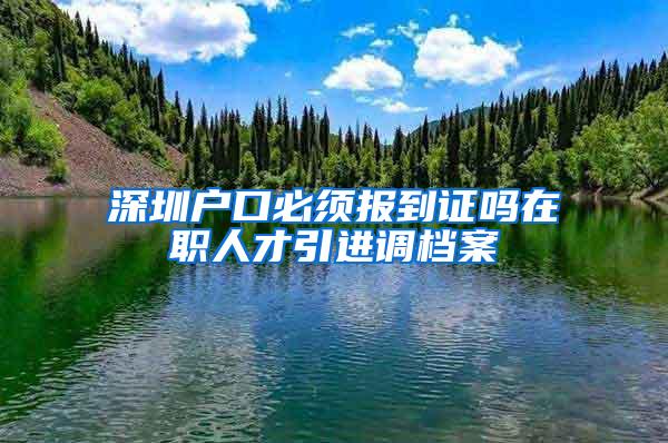 深圳户口必须报到证吗在职人才引进调档案