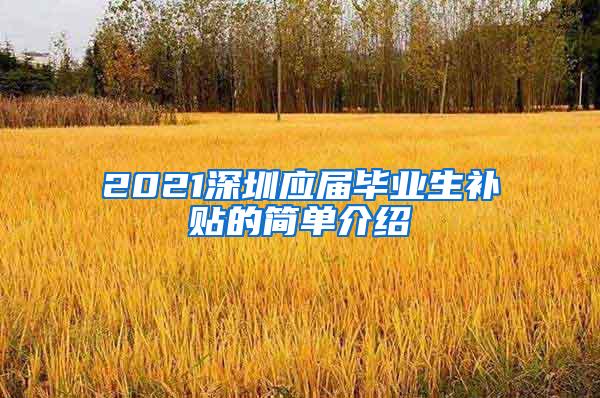 2021深圳应届毕业生补贴的简单介绍