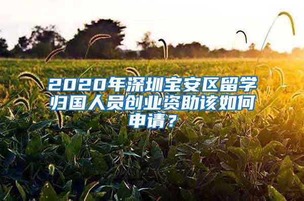 2020年深圳宝安区留学归国人员创业资助该如何申请？