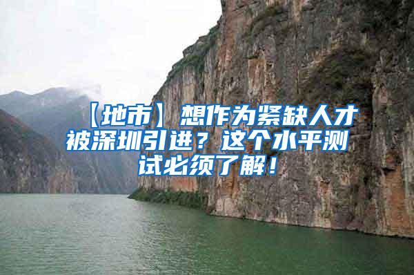 【地市】想作为紧缺人才被深圳引进？这个水平测试必须了解！