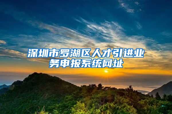 深圳市罗湖区人才引进业务申报系统网址