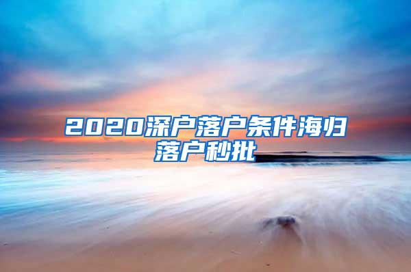 2020深户落户条件海归落户秒批