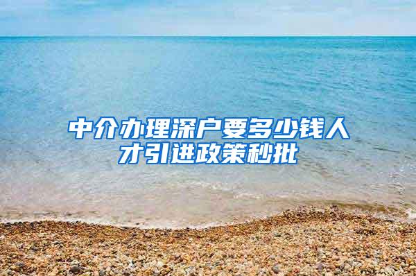 中介办理深户要多少钱人才引进政策秒批