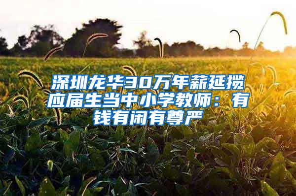 深圳龙华30万年薪延揽应届生当中小学教师：有钱有闲有尊严