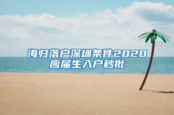 海归落户深圳条件2020应届生入户秒批