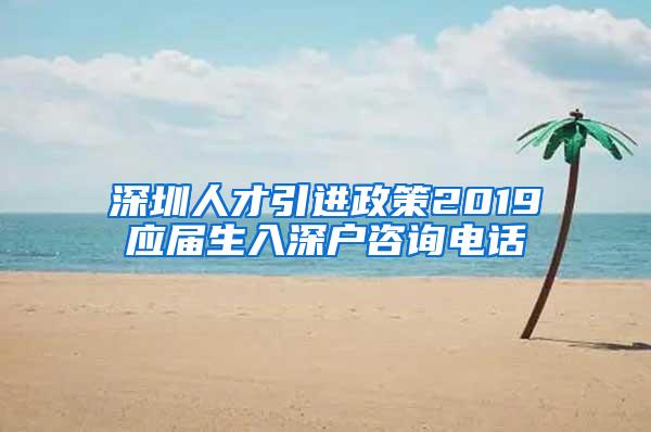 深圳人才引进政策2019应届生入深户咨询电话