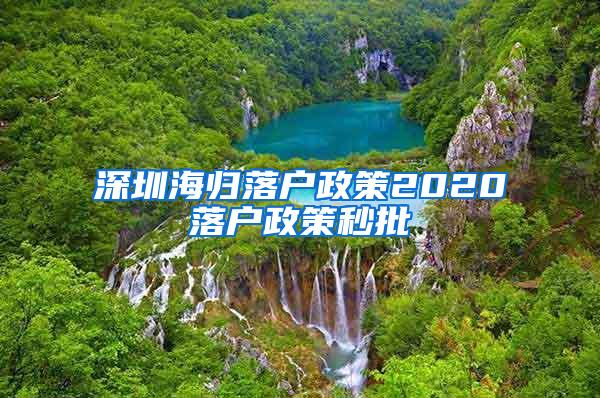 深圳海归落户政策2020落户政策秒批