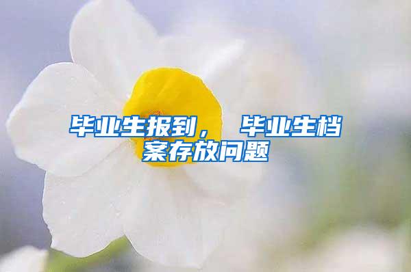 毕业生报到， 毕业生档案存放问题