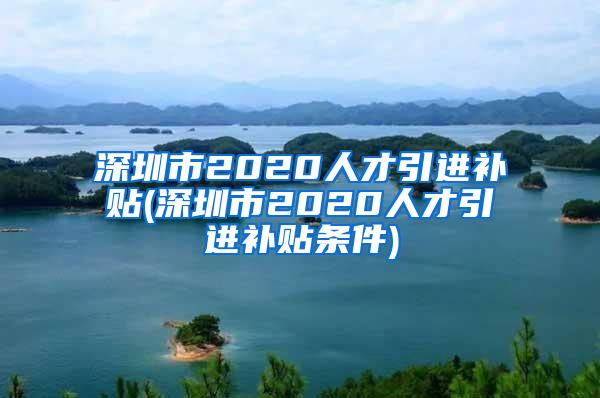 深圳市2020人才引进补贴(深圳市2020人才引进补贴条件)