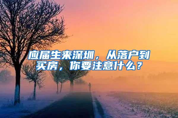 应届生来深圳，从落户到买房，你要注意什么？