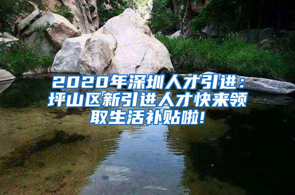 2020年深圳人才引进：坪山区新引进人才快来领取生活补贴啦!