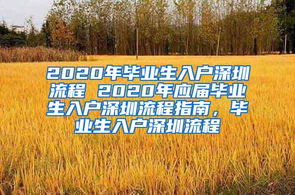 2020年毕业生入户深圳流程 2020年应届毕业生入户深圳流程指南，毕业生入户深圳流程