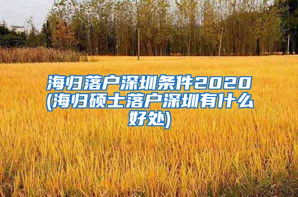 海归落户深圳条件2020(海归硕士落户深圳有什么好处)