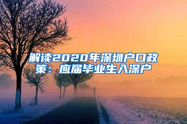 解读2020年深圳户口政策：应届毕业生入深户