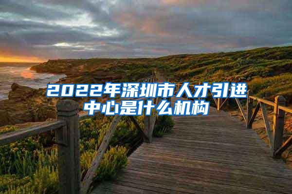 2022年深圳市人才引进中心是什么机构