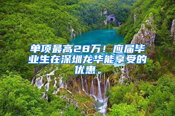 单项最高28万！应届毕业生在深圳龙华能享受的优惠。