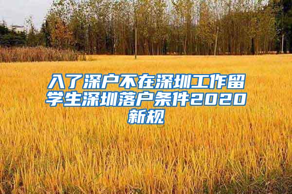 入了深户不在深圳工作留学生深圳落户条件2020新规