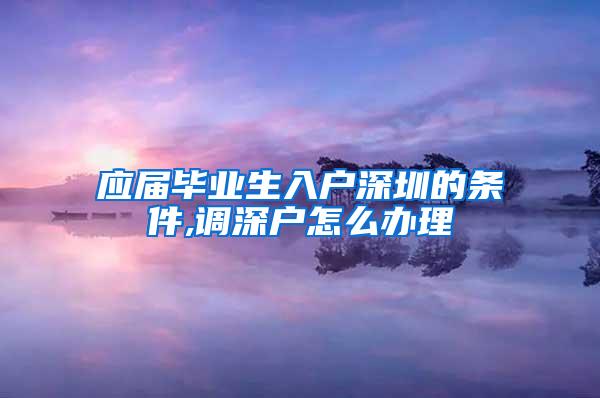 应届毕业生入户深圳的条件,调深户怎么办理