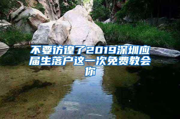 不要彷徨了2019深圳应届生落户这一次免费教会你