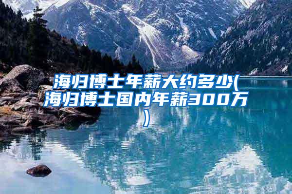 海归博士年薪大约多少(海归博士国内年薪300万)