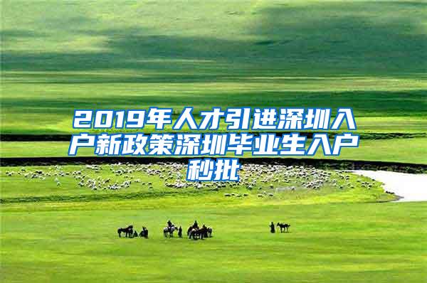 2019年人才引进深圳入户新政策深圳毕业生入户秒批