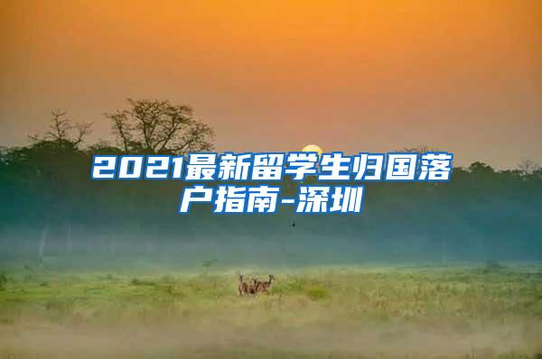 2021最新留学生归国落户指南-深圳