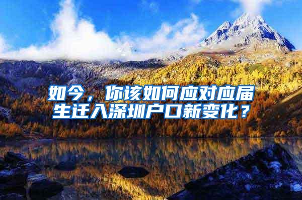 如今，你该如何应对应届生迁入深圳户口新变化？