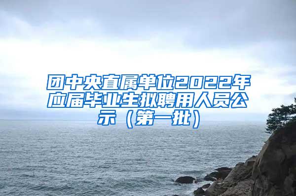 团中央直属单位2022年应届毕业生拟聘用人员公示（第一批）