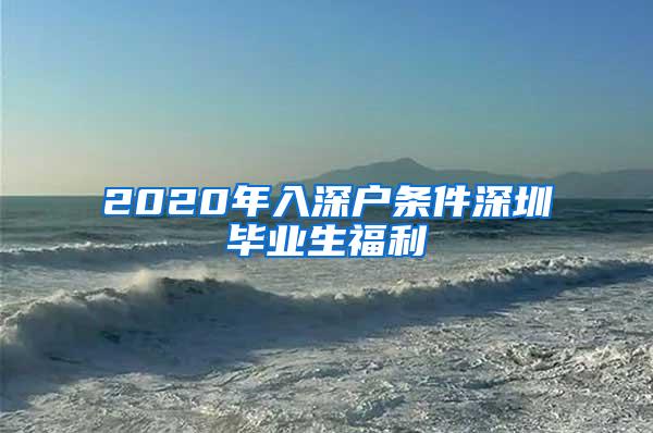 2020年入深户条件深圳毕业生福利