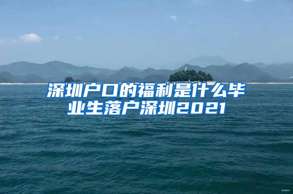 深圳户口的福利是什么毕业生落户深圳2021