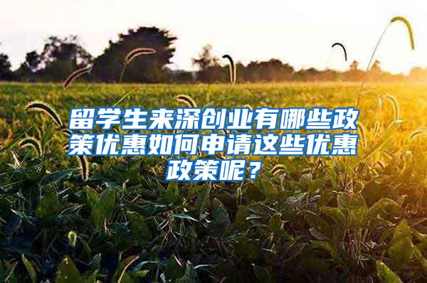 留学生来深创业有哪些政策优惠如何申请这些优惠政策呢？