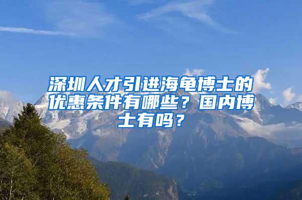 深圳人才引进海龟博士的优惠条件有哪些？国内博士有吗？